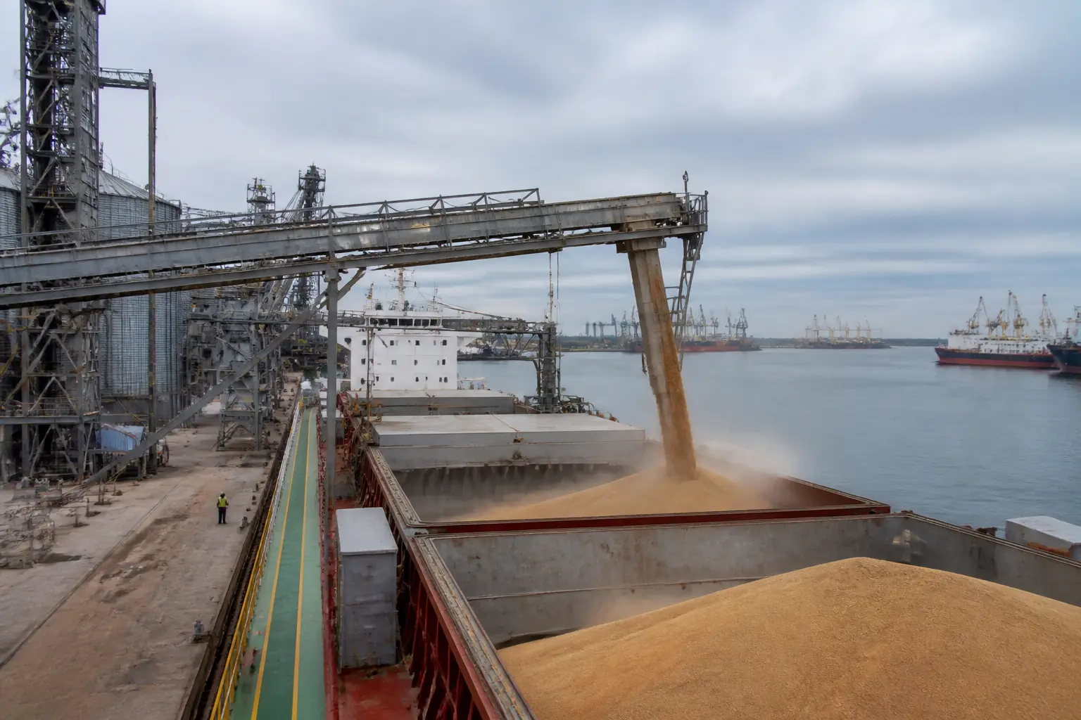 Зерновий термінал у морському порту під час завантаження судна