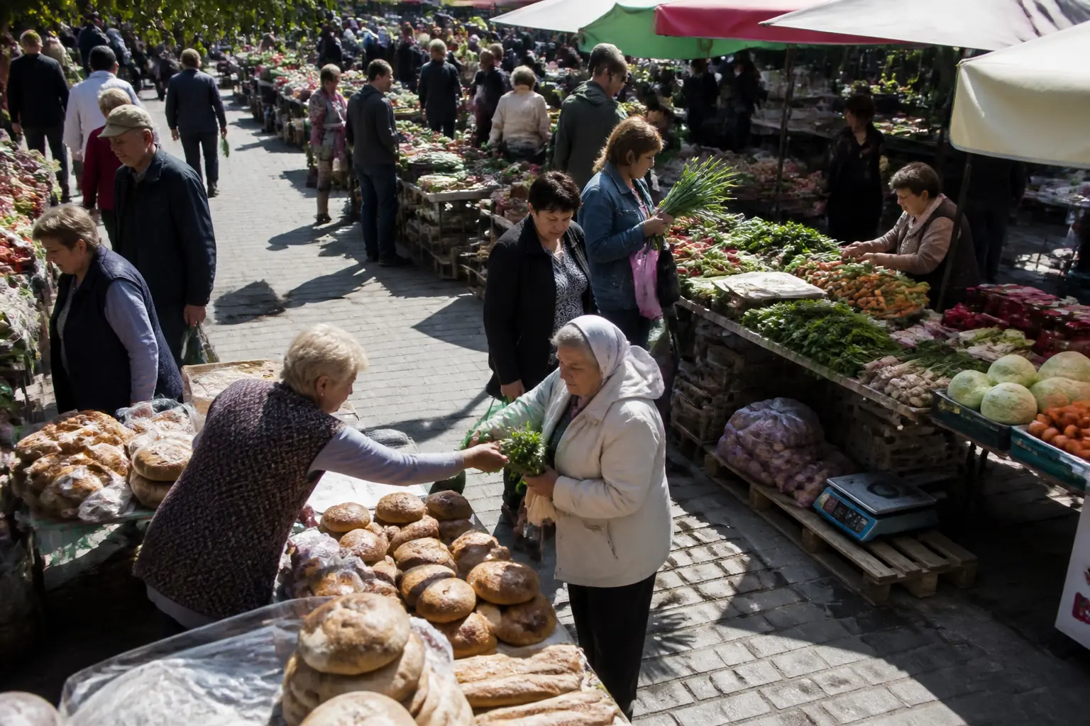 Люди купують свіжі продукти на відкритому фермерському ринку