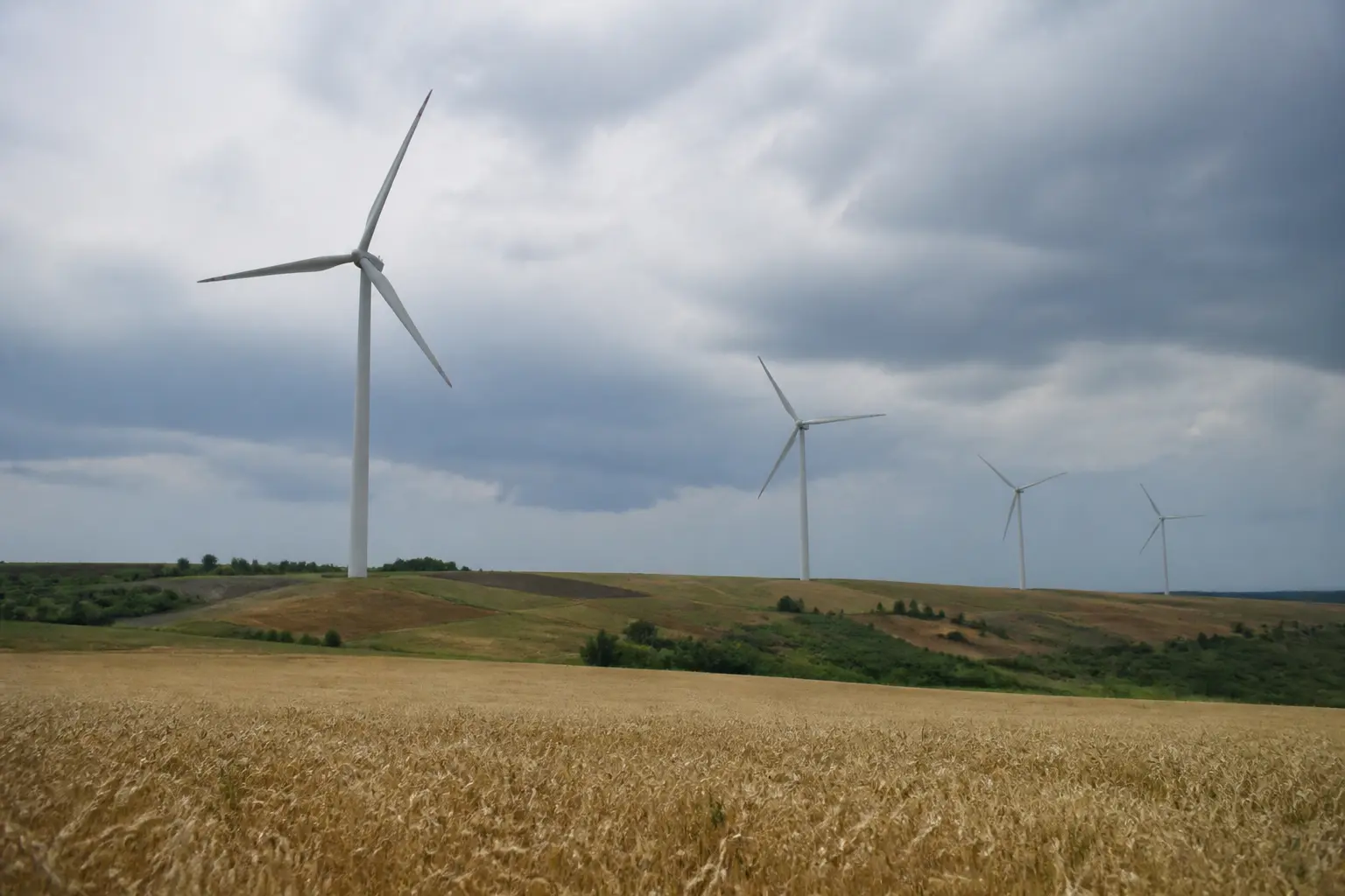Вітропарк із турбінами Vestas в українському степу